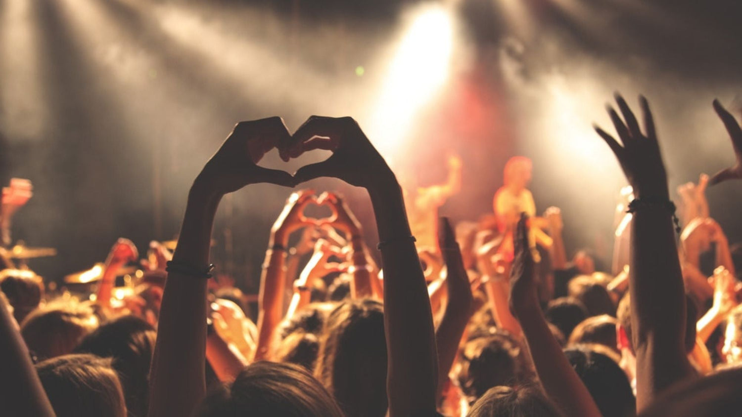 party-fans-raised-their-hands.jpeg